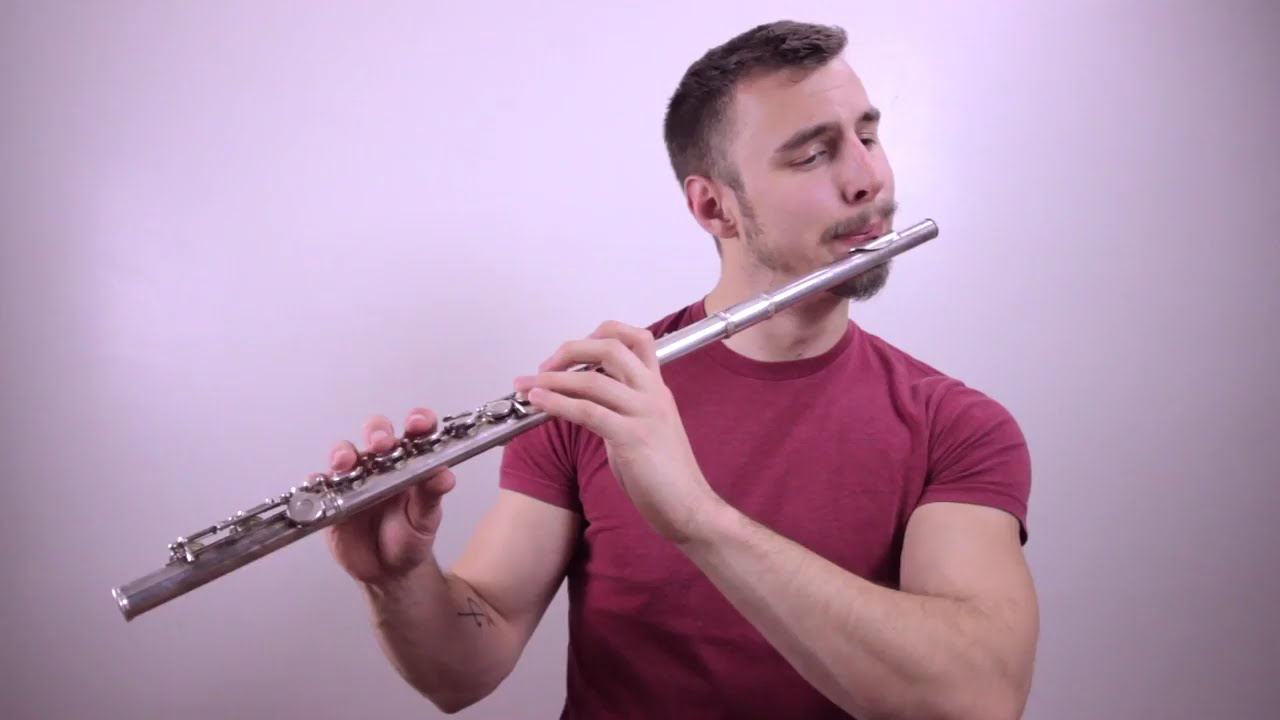 Legend of Zelda: Breath of Wild Orchestra Cover