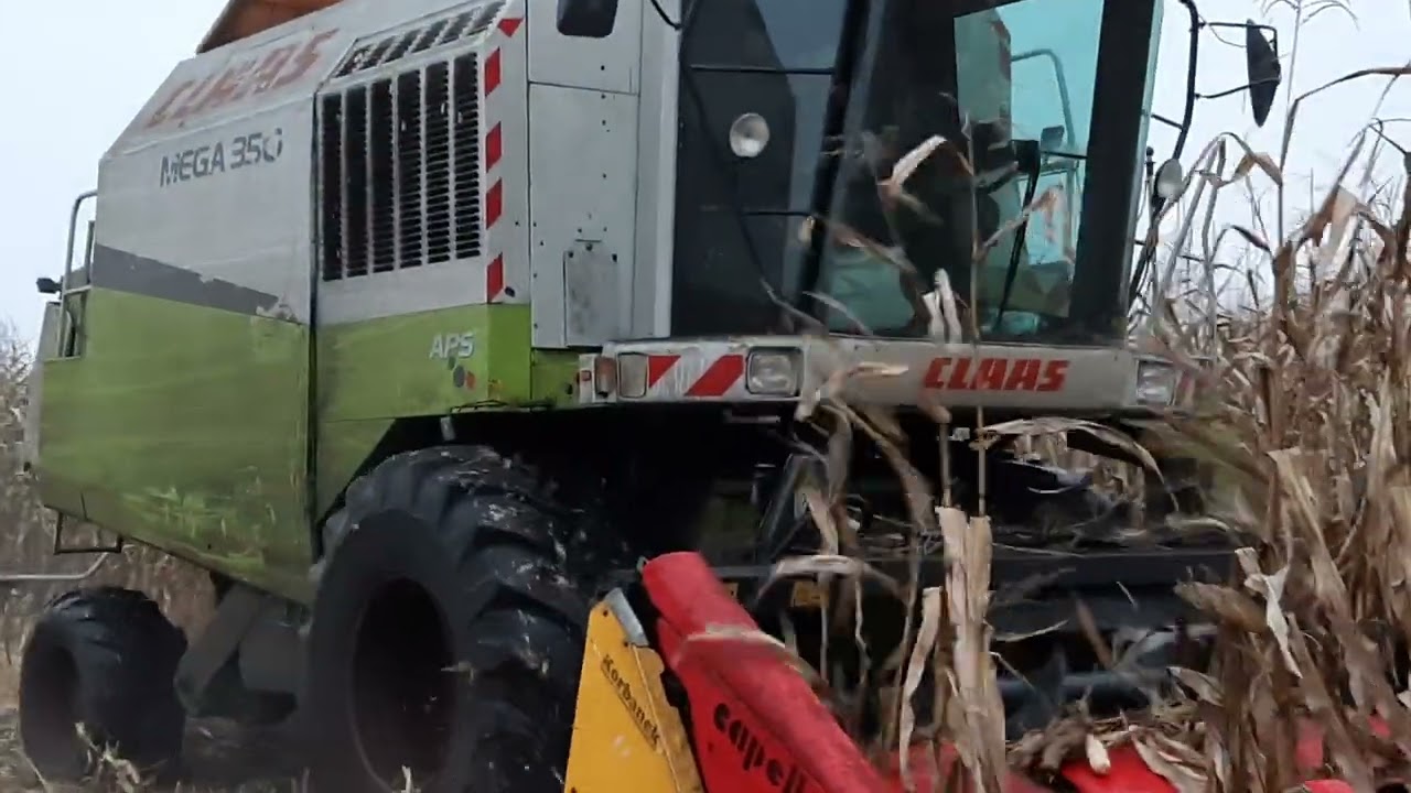 Claas Mega 350 , Capello , Claas Axion 810 Fliegl Gigant ,, Koszenie Kukurydzy na ziarno 2022