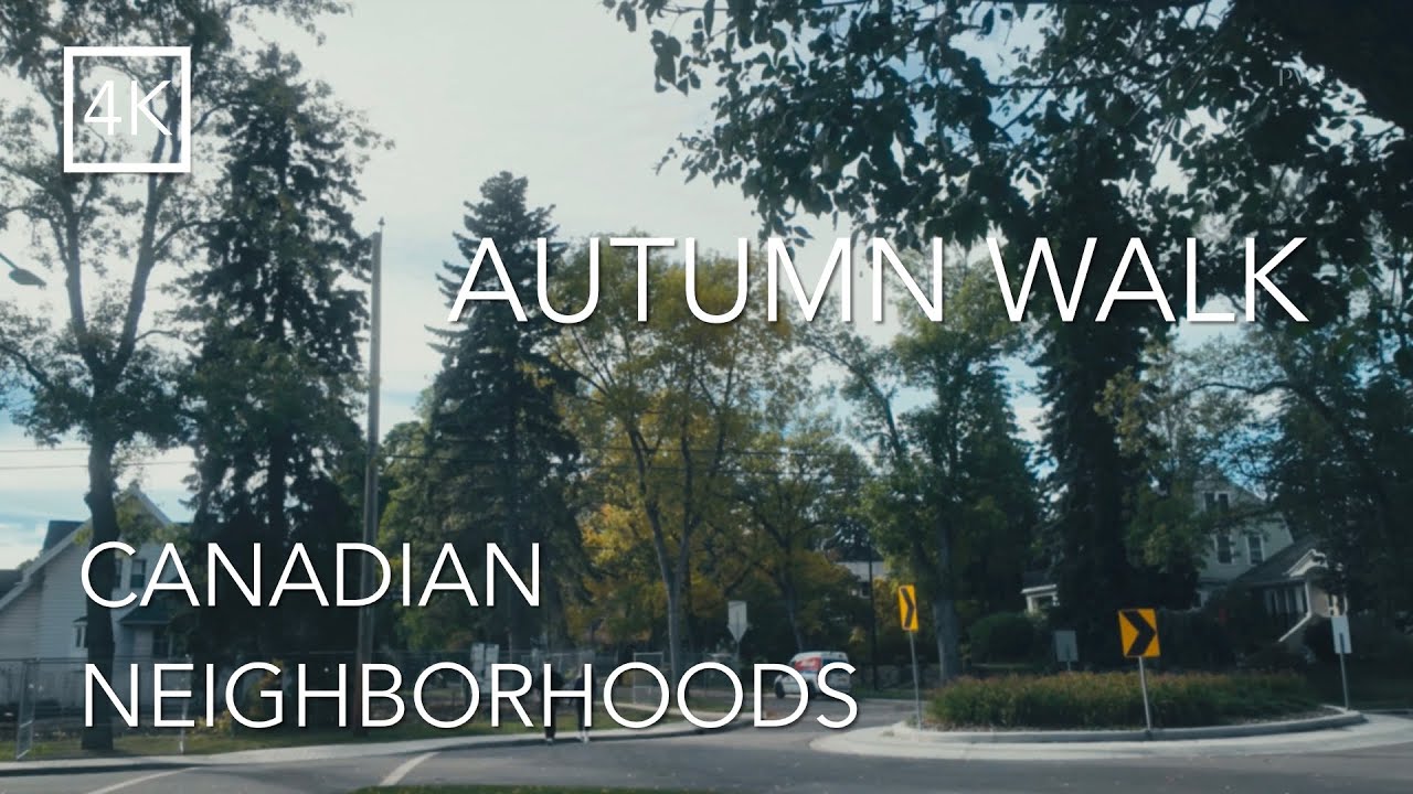 ASMR Walk 🎧 Cinematic Autumn Walk | Peaceful Canadian Neighborhood | British Columbia