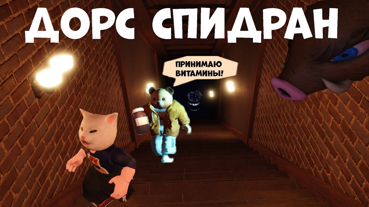 ДОРС СПИДРАН