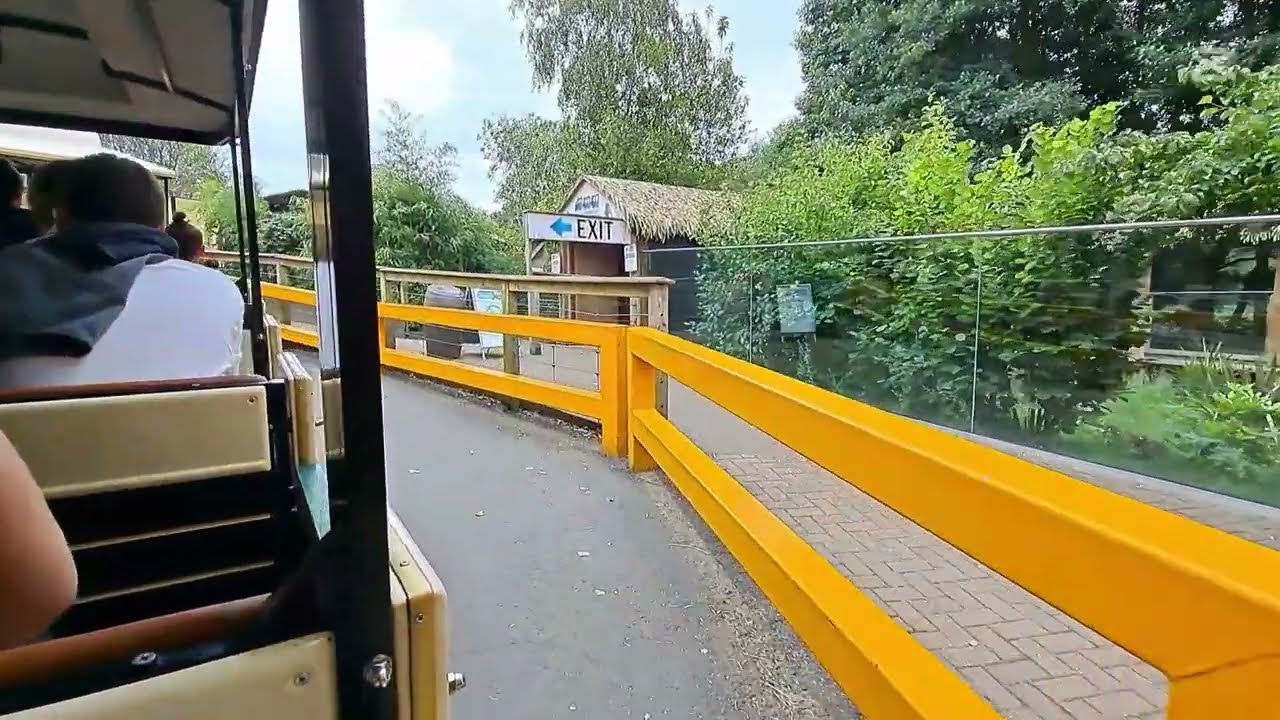 Land Train Colchester Zoo 03/08/2024