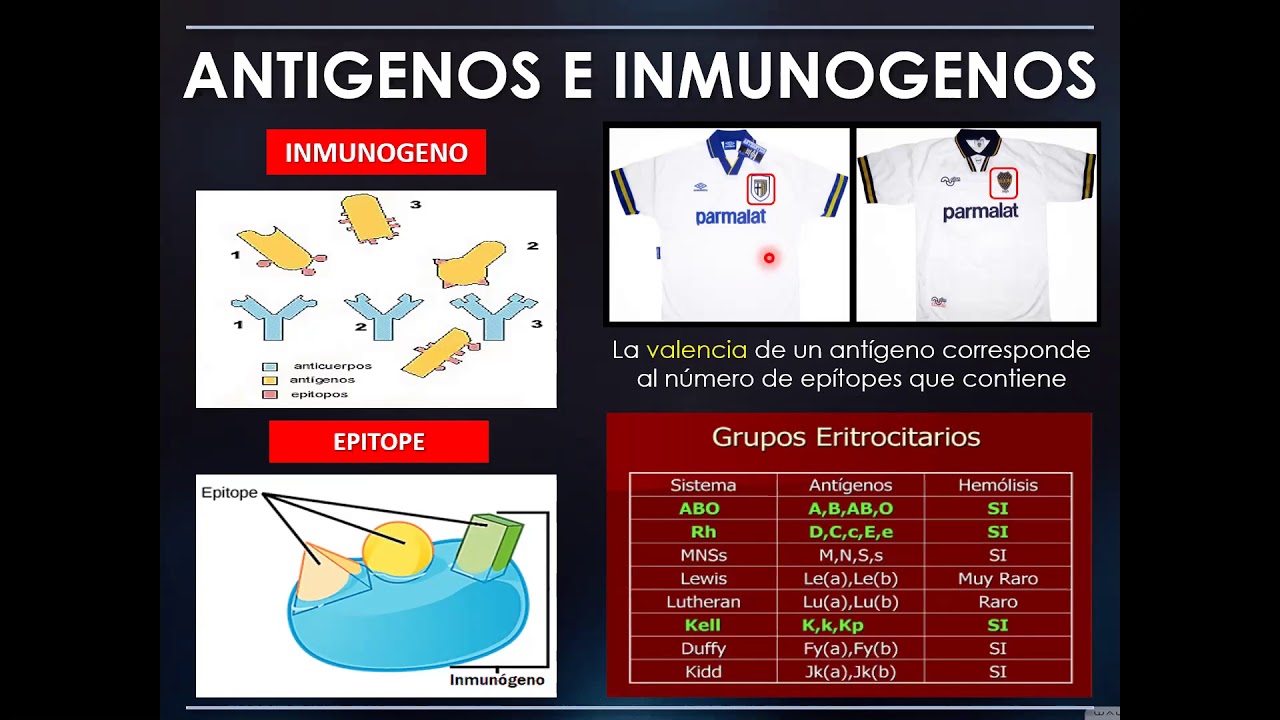 Inmunolog&iacute;a. Ant&iacute;geno e Inmun&oacute;geno