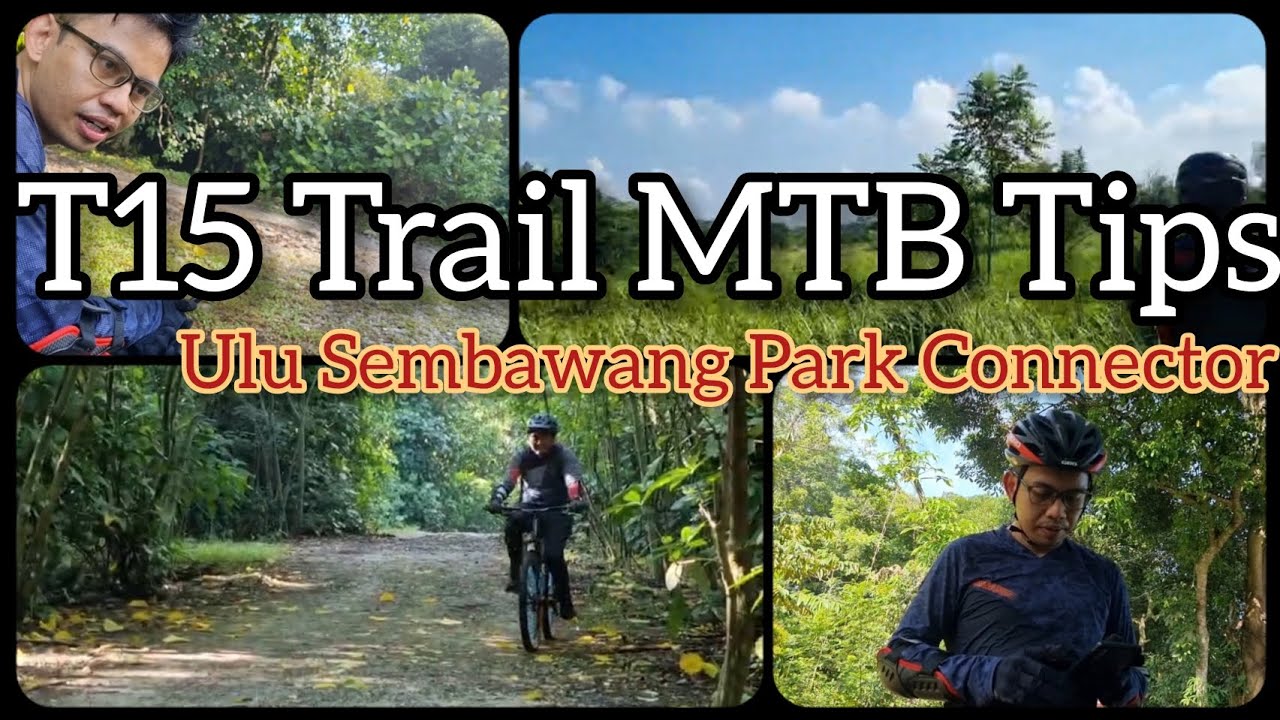 Mandai T15 Trail MTB Tips and Ulu Sembawang Park Connector Review