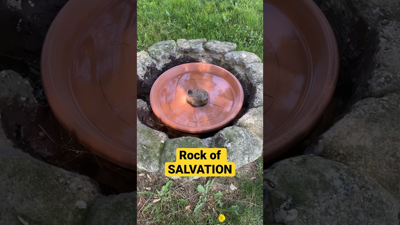 ROCK OF SALVATION..! Save a bird or other small creature... :-) #nature #wildlife #birds