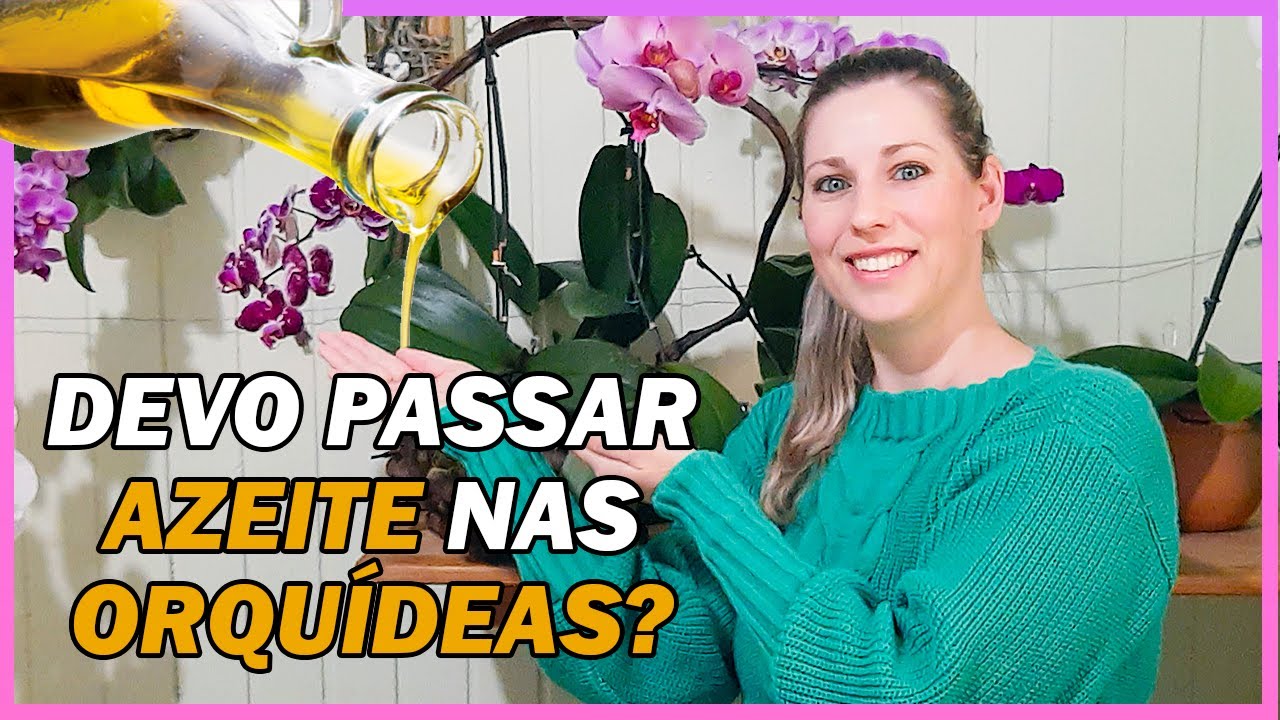 Respondendo Dúvidas sobre o Cultivo de Orquídeas - MARIA RESPONDE #02