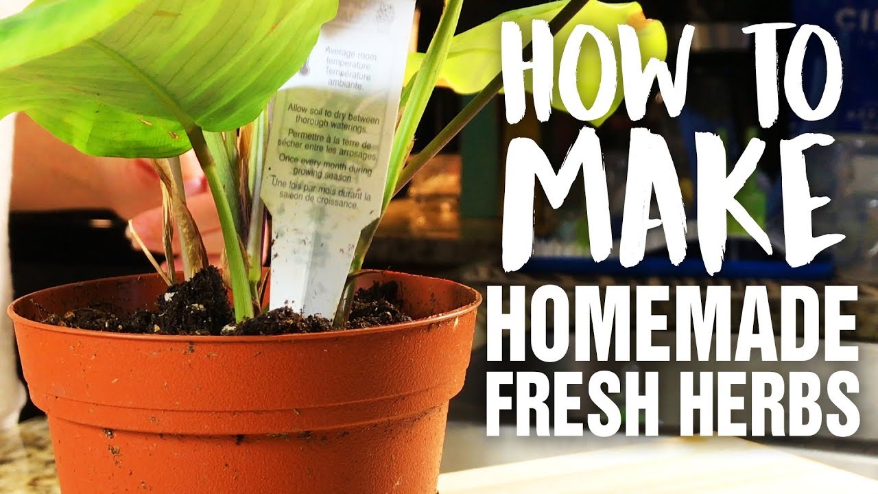 HOW TO MAKE HOMEMADE FRESH HERBS