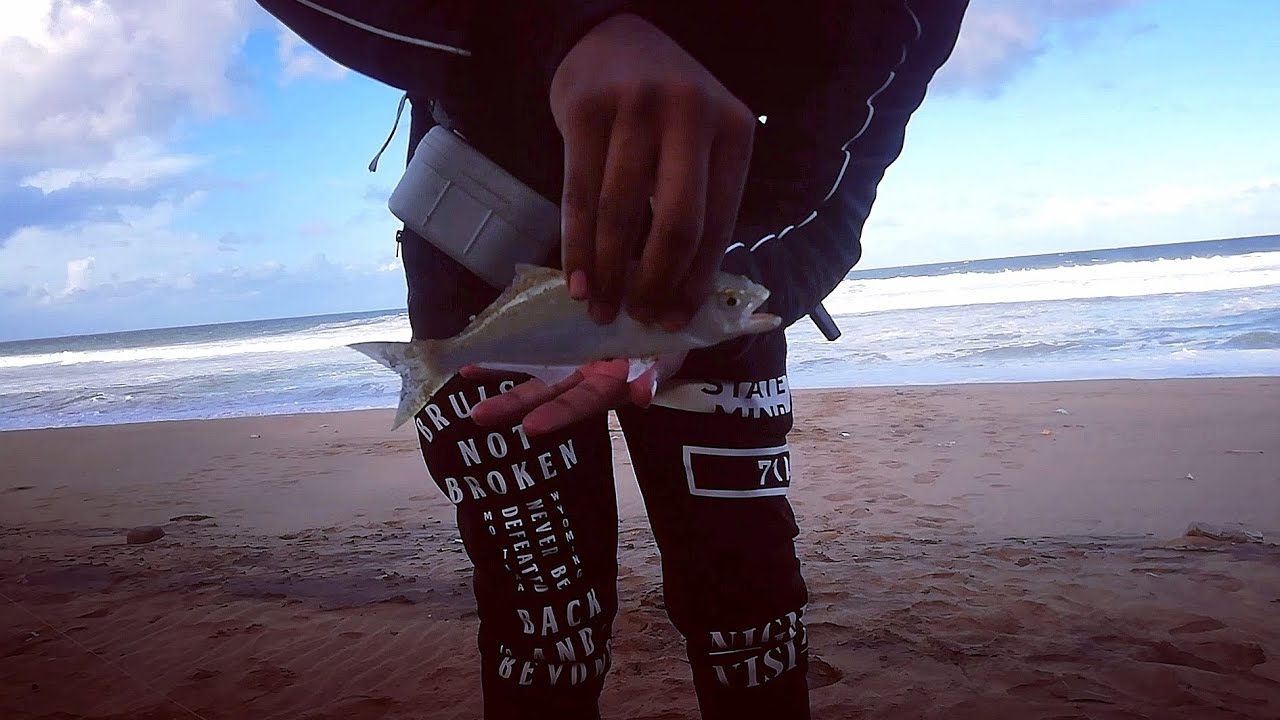 My First Shad For 2023! Edible Surf Fishing! Fishing Of The Bluff, KZN (South Africa).