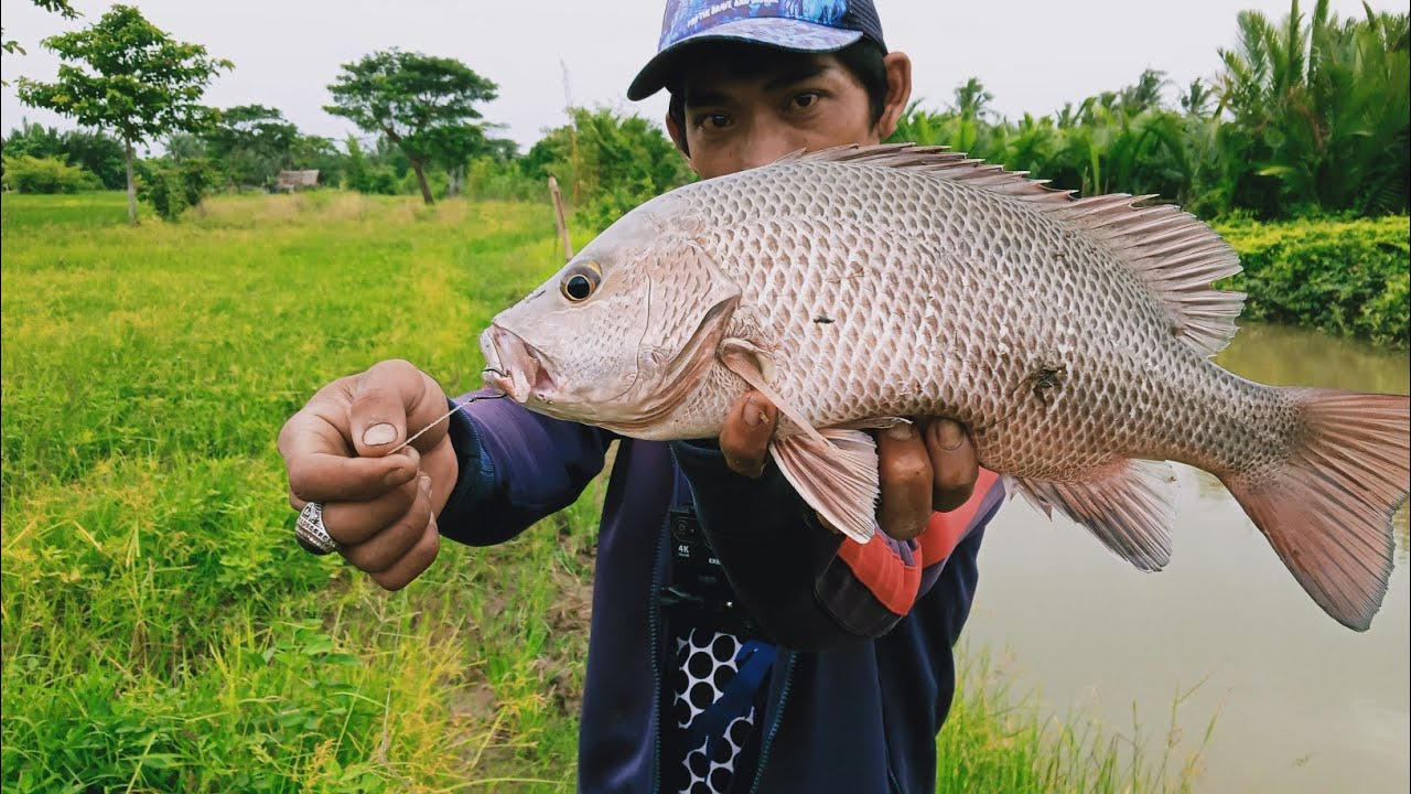 Mancing di spot blackbass ll muara panimbang