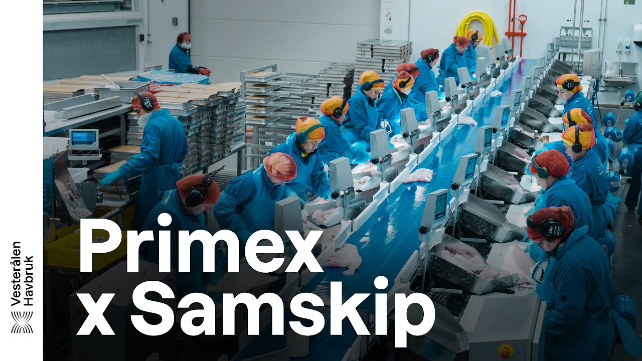 Primex X Samskip