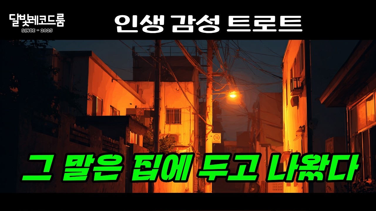 그 말은 집에 두고 나왔다 | 가족에게 하지 못한 한마디  | 달빛레코드룸 | 남성 인생 트로트
