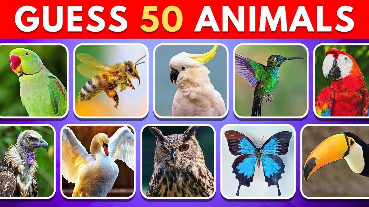 Guess 50 Flying Animals in 5 Seconds! 🪽🐦 | Animal Quiz