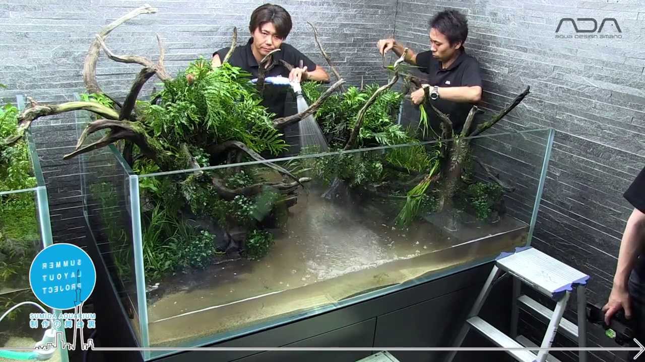 [ADAview] 東京スカイツリータウン・すみだ水族館 新規レイアウト制作 パート1