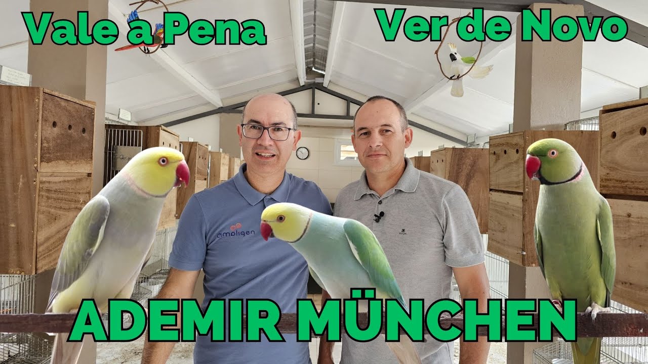 RING NECKS CAMPEÕES DE PORTE NO ADEMIR MÜNCHEN!!!