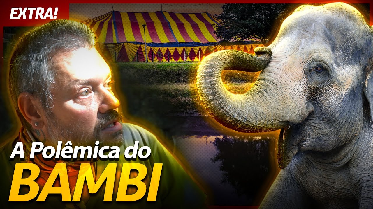 BAMBI, A POLÊMICA DO ELEFANTE DE CIRCO! | RICHARD RASMUSSEN
