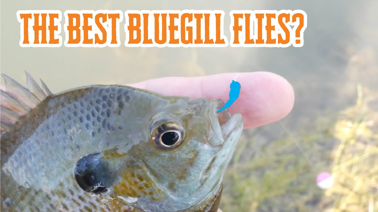 My Top 3 Bluegill Flies