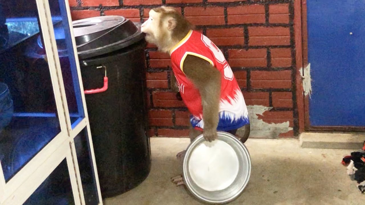 Good Child Jason Hand Full Assist In House Chores As Possible