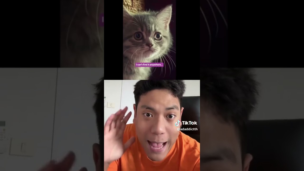WHISKAS จัด Podcast โดยมีแมวเป็นผู้ดำเนินรายการ #ADADDICT #ข่าวtiktok #Whiskas #แมว #Podcast