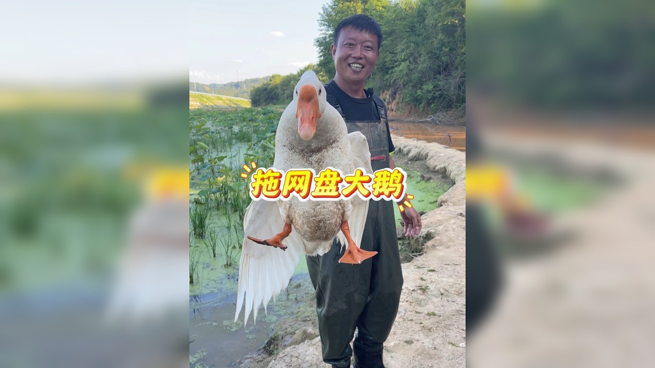 华子花2800元在农村小伙的山塘里拉了一网，想不到赚了个鹅
