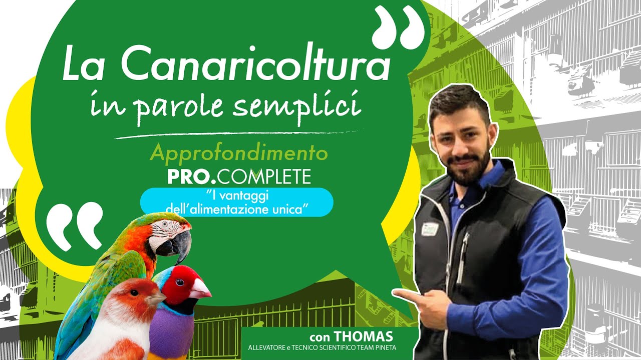 12 - La canaricoltura in parole semplici - PRO COMPLETE I Vantaggi Dell'Alimentazione Unica