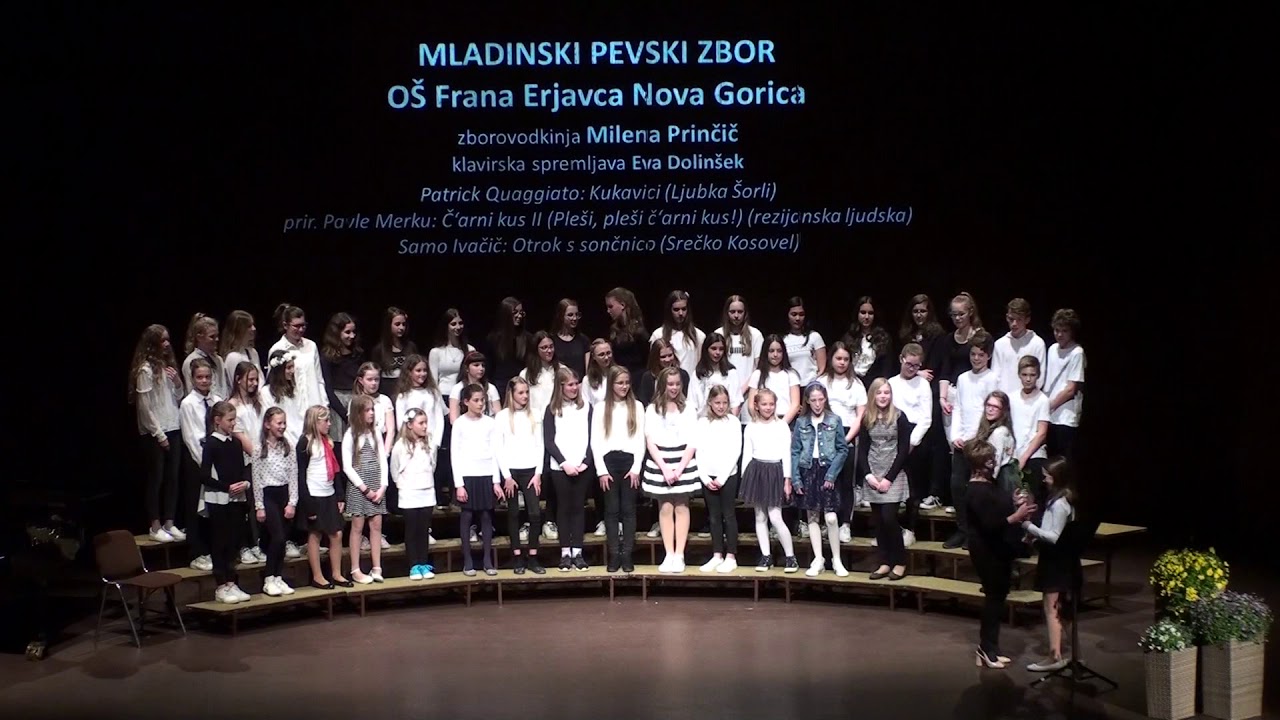 MLPZ OŠ Frana Erjavca Nova Gorica