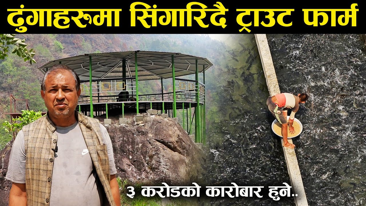 ढुंगाहरुमा सिंगारिदै गरेको एउटा ट्राउट फार्म