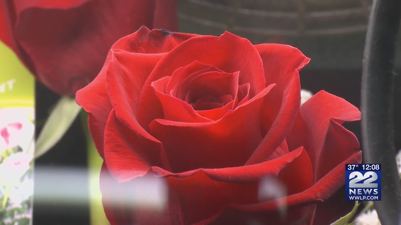 When to order flowers for Valentine's Day