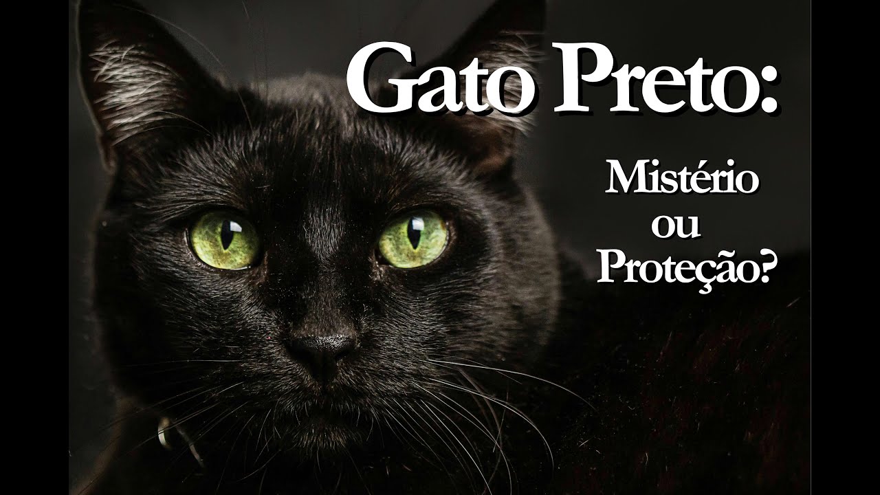 O Misterioso GATO PRETO!!!