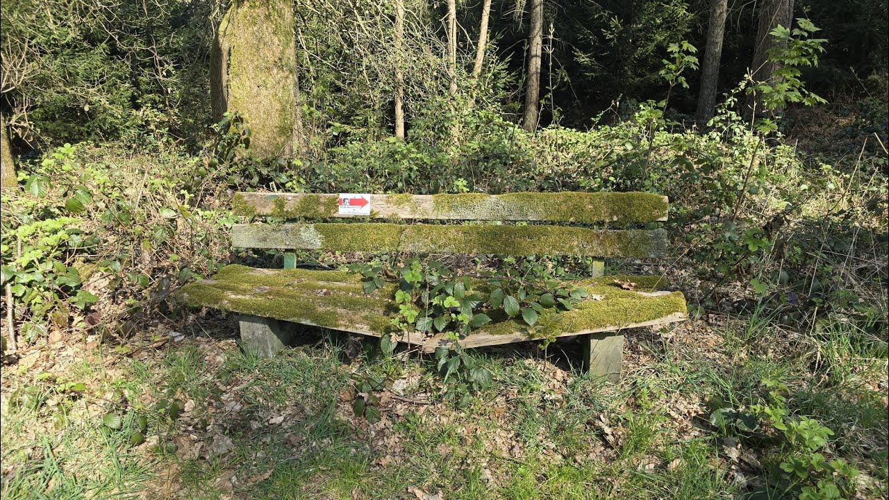 Wanderung in der Elfringhauser Schweiz