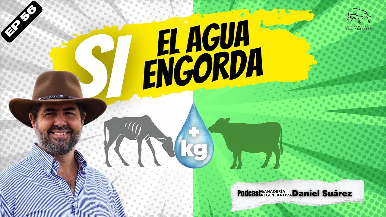 Kilos en el bebedero #56