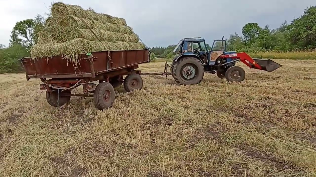 Уборка вика-овсяной смеси при помощи мтз82 с мини прессом и т40 с граблями