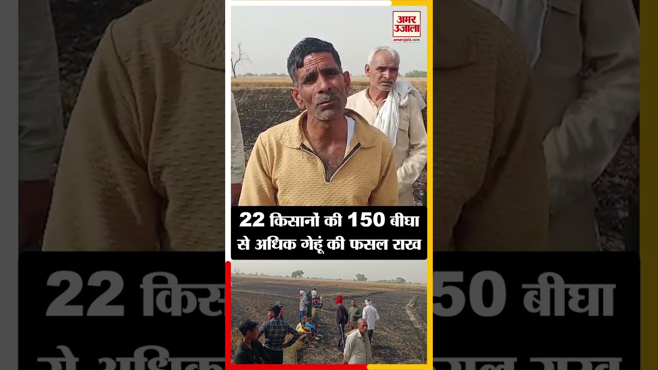 Auraiya News: अज्ञात कारणों से लगी आग, 22 किसानों की 150 बीघा से अ​धिक गेहूं की फसल राख
