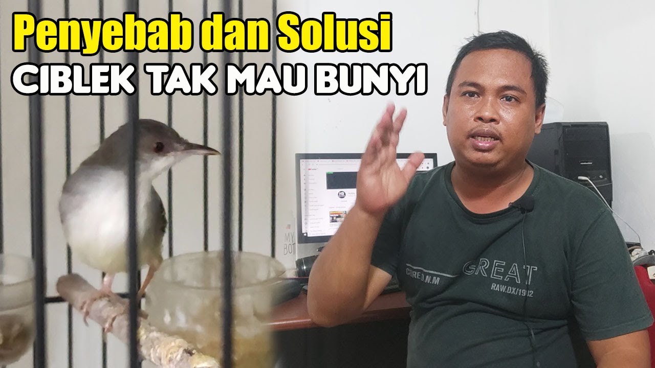 10 PENYEBAB CIBLEK MACET BUNYI DAN SOLUSINYA || CARA MENGATASI CIBLEK MACET BUNYI