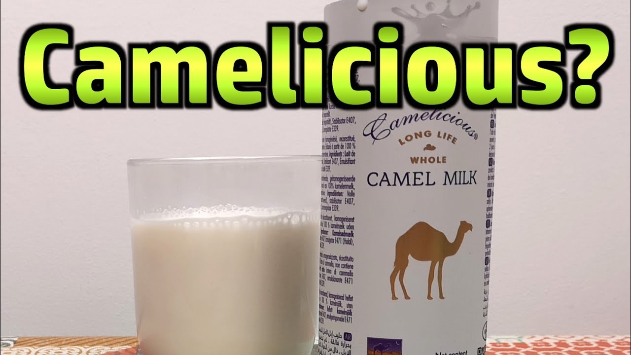 Camel Milk - Weird Stuff In A Can #117
