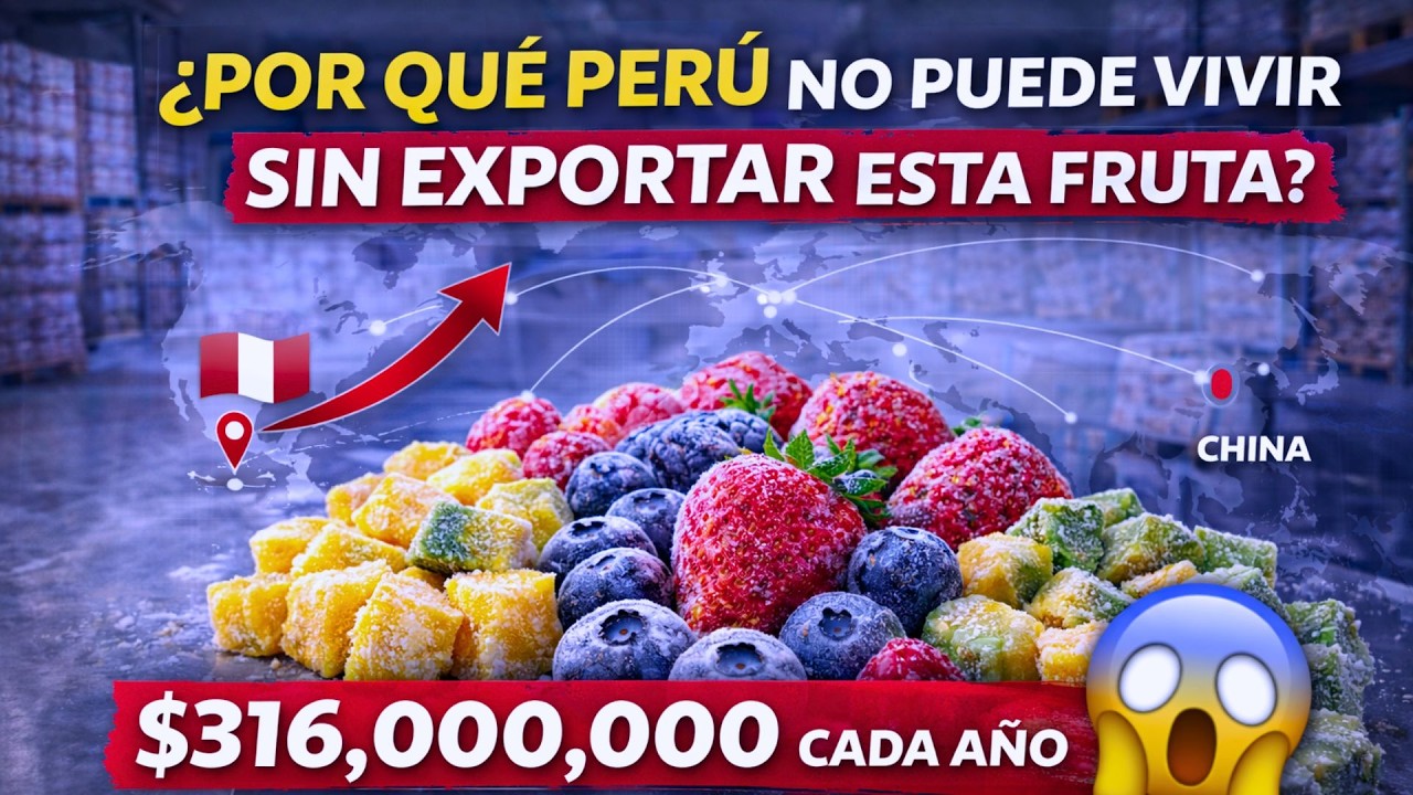Perú está ganando el negocio mundial de la fruta congelada