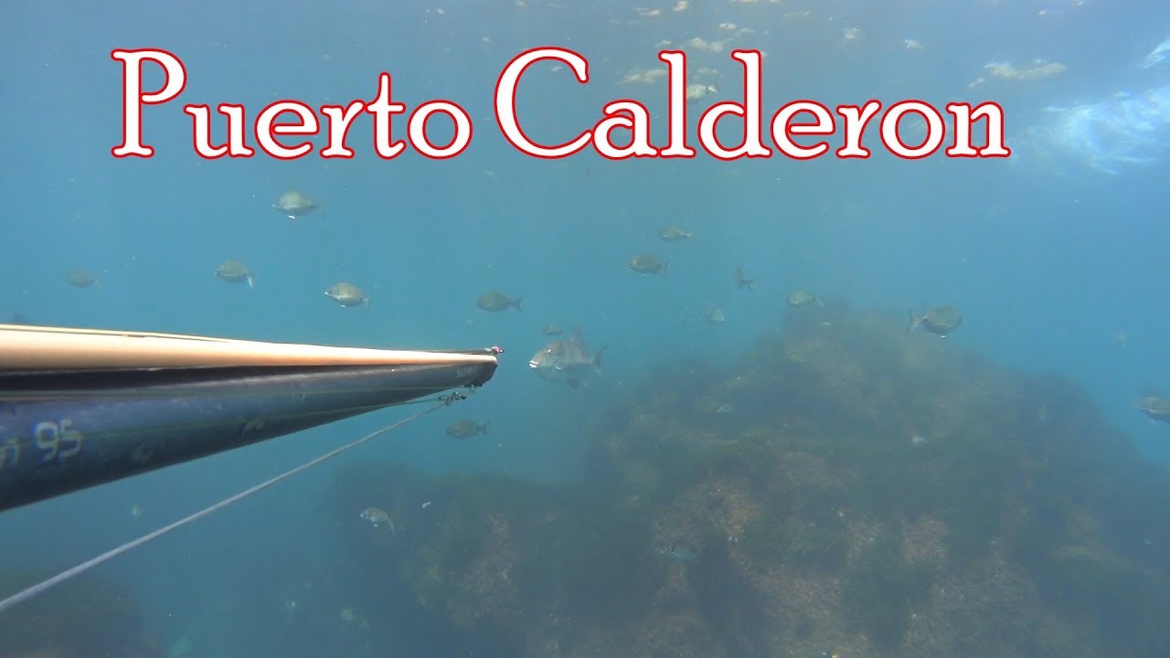 Pesca Submarina Puerto Calderon