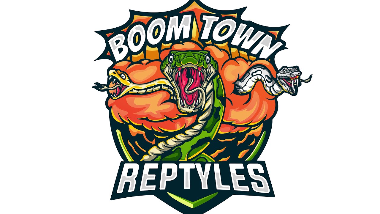 Unboxing From Morphologix 