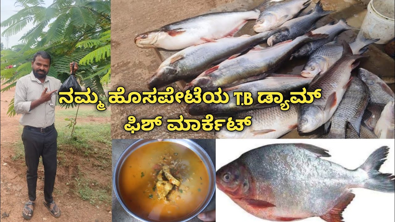 ನಮ್ಮ ಹೊಸಪೇಟೆ TB ಡ್ಯಾಮ್ ನ ರೂಪ್ ಚಂದ್ ಮೀನು ಸಾರು ಆಹಾ... 