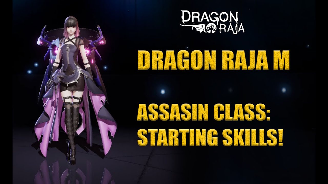 Dragon Raja : Assassin Class (Preview Skills)