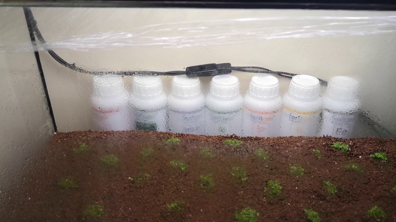 Monte Carlo üretim tankı 2. gün - Genel bilgiler