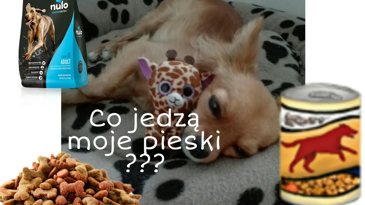 Co jedzą moje pieski?🐩🍗