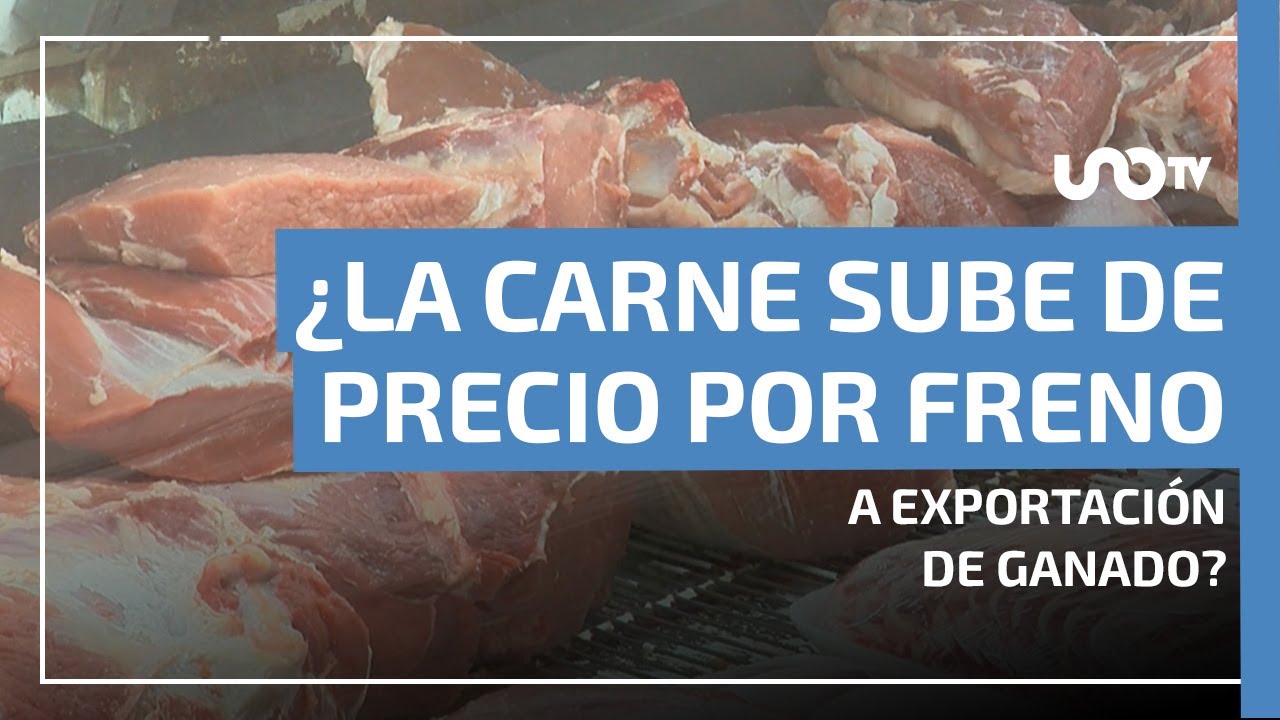 ¿La carne sube por brote de gusano barrenador? Esto pasa con el ganado y su exportación a EE. UU.