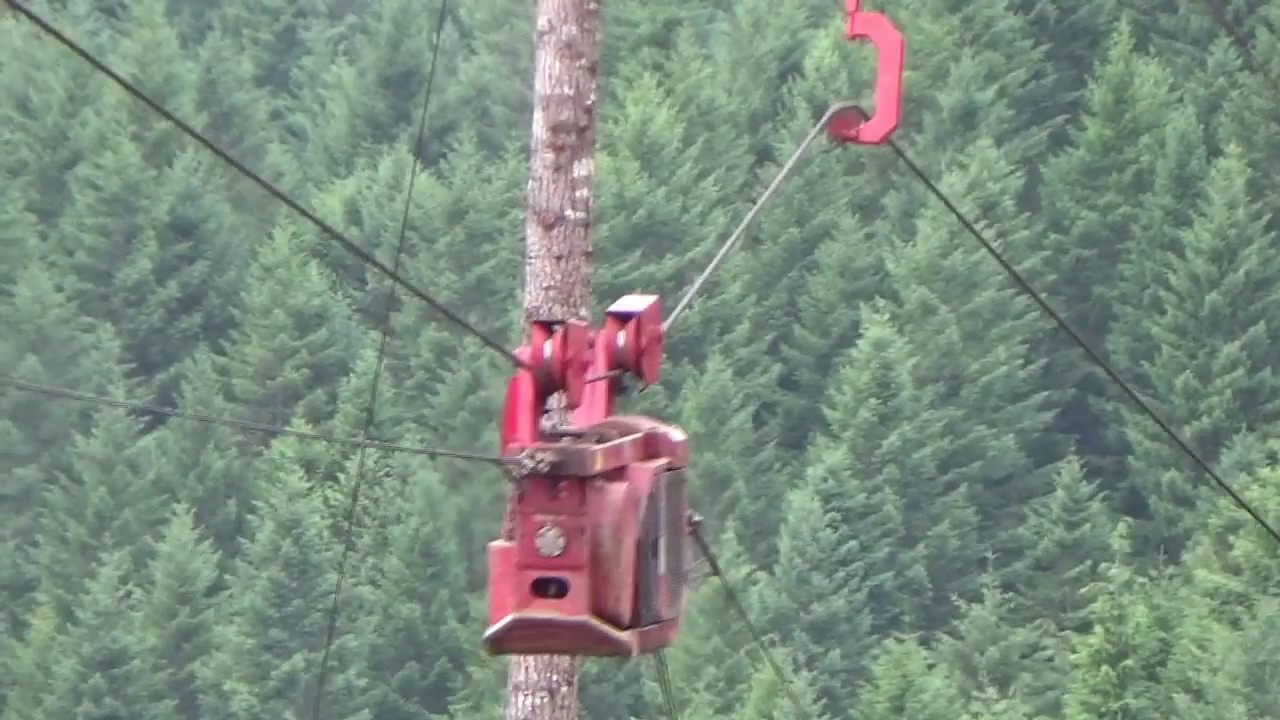 Gahlsdorf Logging RX8900 Multispan