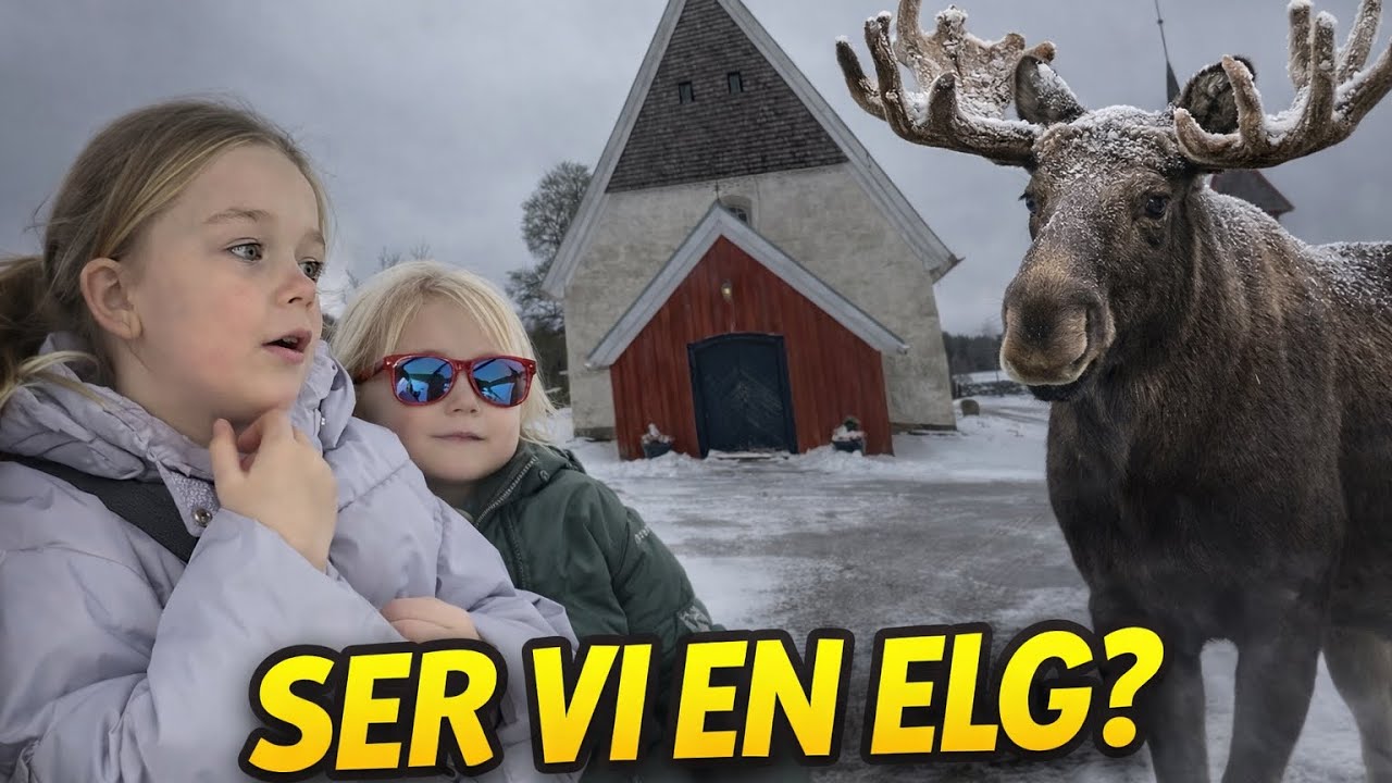 Skal vi se elge eller i kirke? 