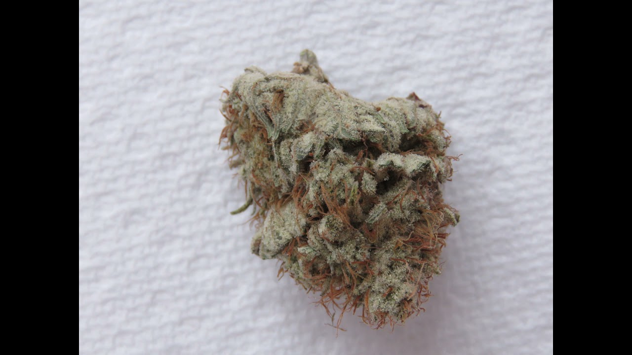 Grease Monkey Test Samples. What do you guys think? 12-10-2021