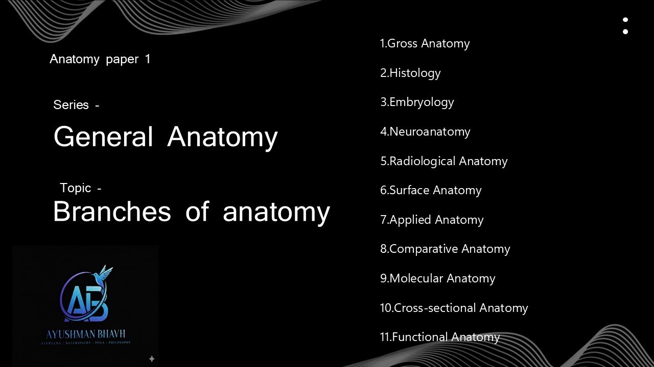 2. branches of anatomy ( anatomy paper 1 ) BNYS, BAMS, MBBS, medical students