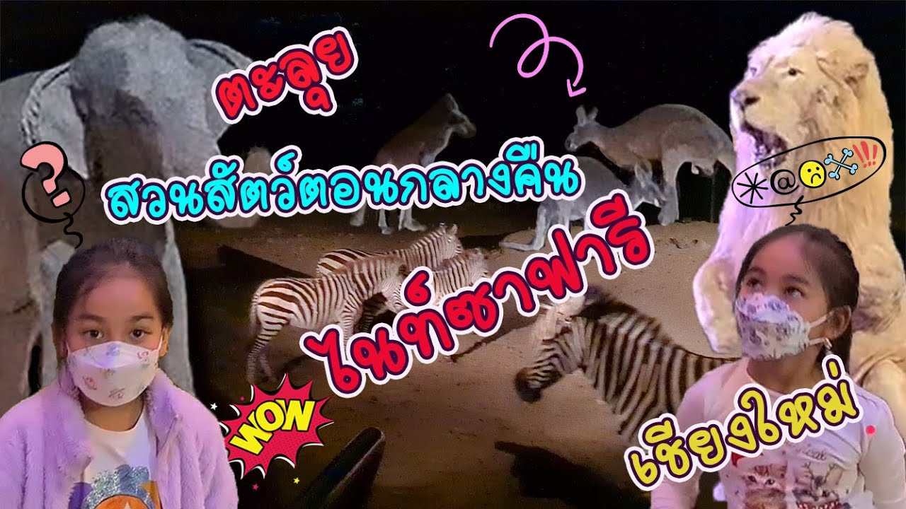 ตะลุยสวนสัตว์ตอนกลางคืน ไนท์ซาฟารี เชียงใหม่