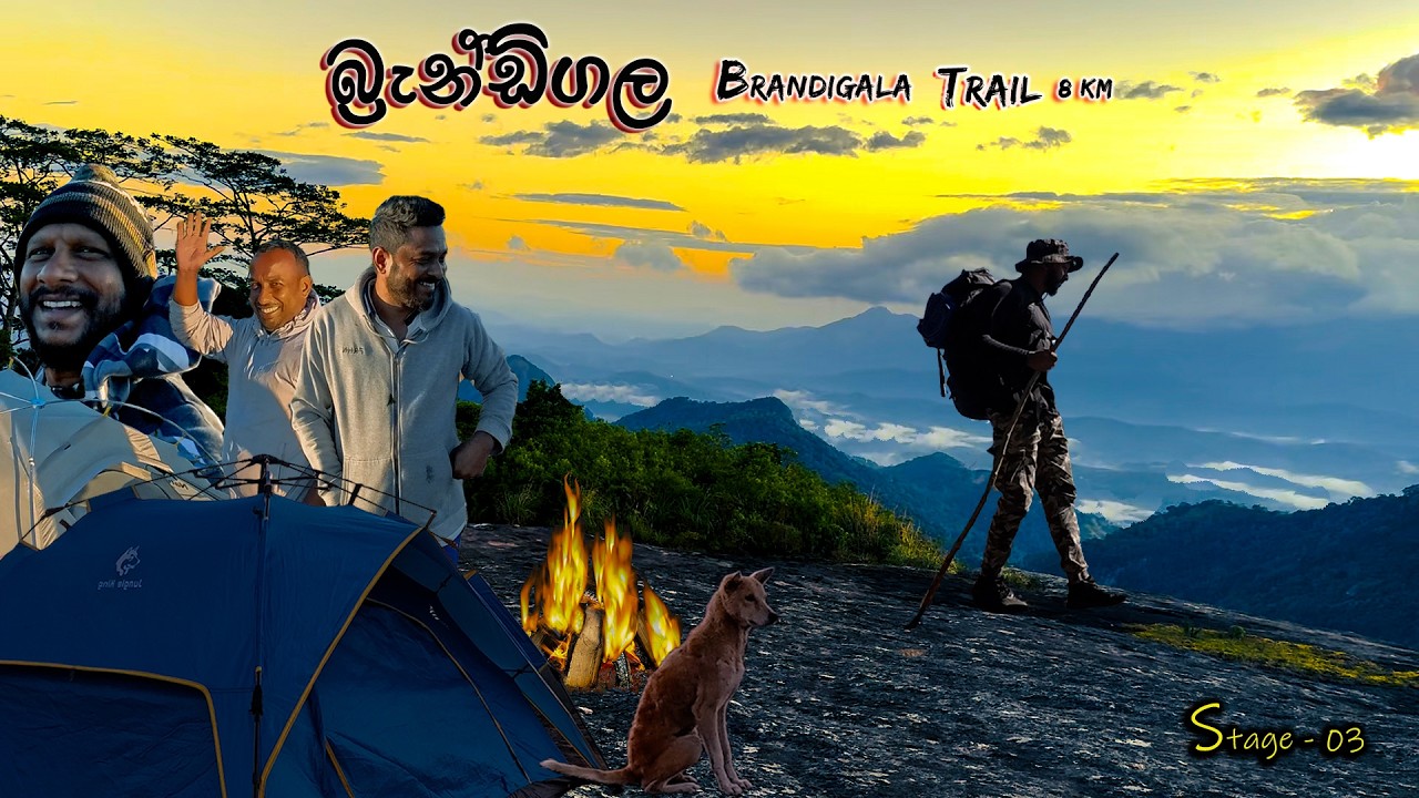 බ්‍රැන්ඩිගල මීදුම් රාත්‍රීය කිලෝමීටර් 8ක් පාගමනින් / Brandigala Trail stage 03 #travel #srilanka 