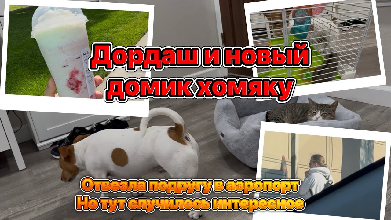 США Влог Неделя беременяшки, новые покупки #жизньвсша #семья #влог #беременность #влогсша #сша 