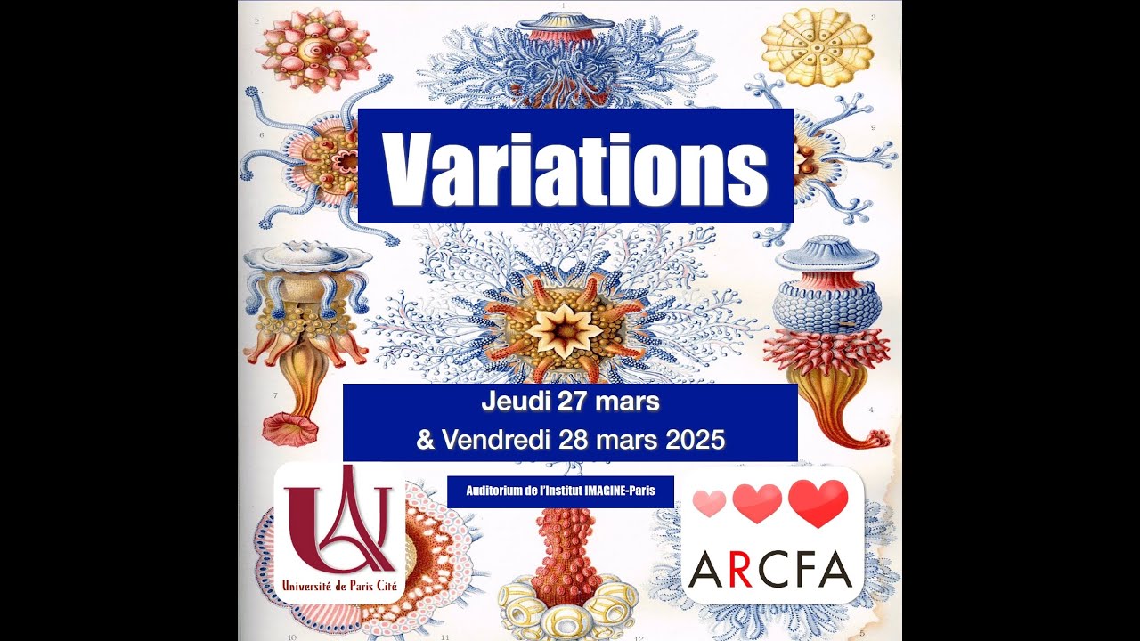 15 Dépistage du bloc atrio ventriculaire immun chez le foetus BERTRAND STOS