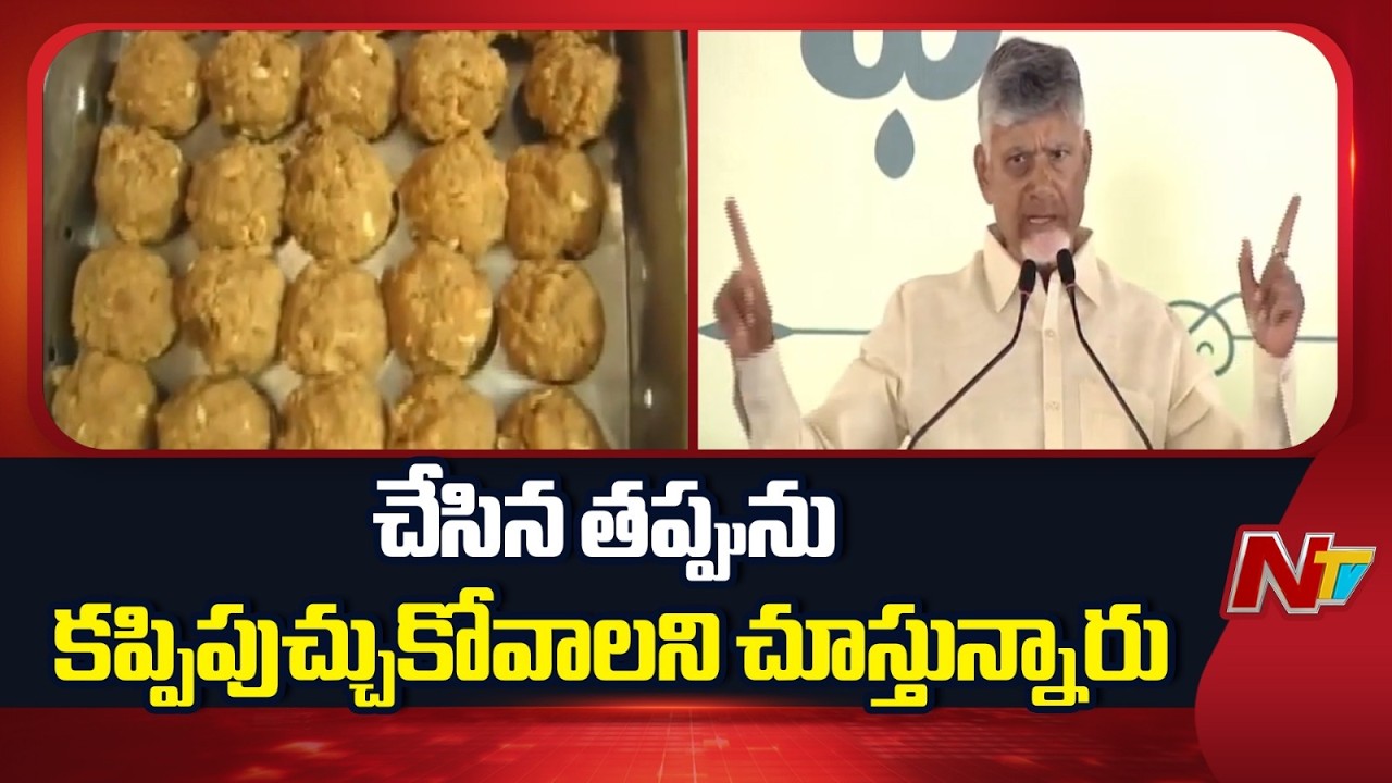 కెమికల్స్ నెయ్యి వాడారని సుప్రీంకోర్టు తేల్చింది: CM Chandrababu | NTV Telugu